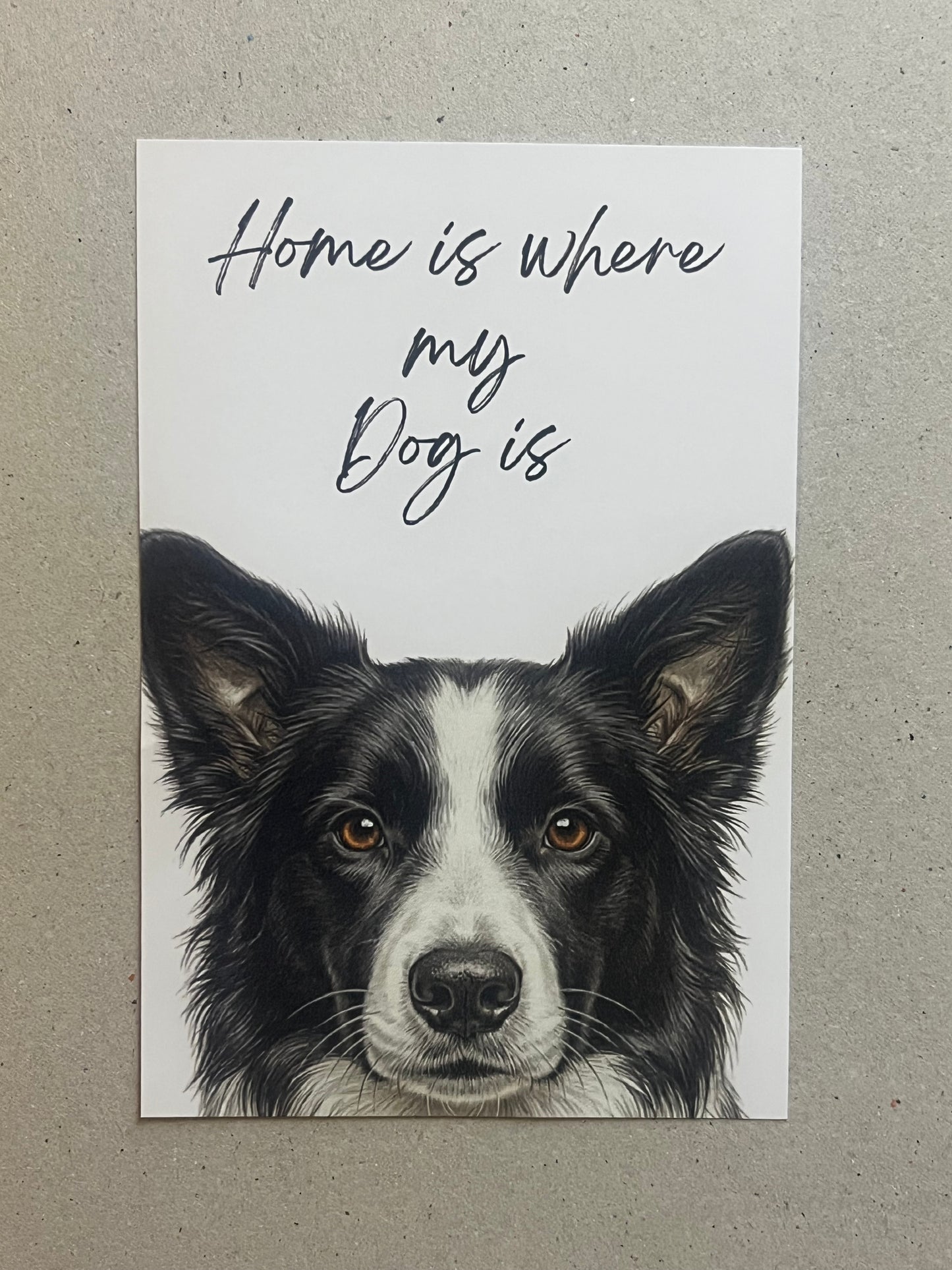 Border Collie Art Print