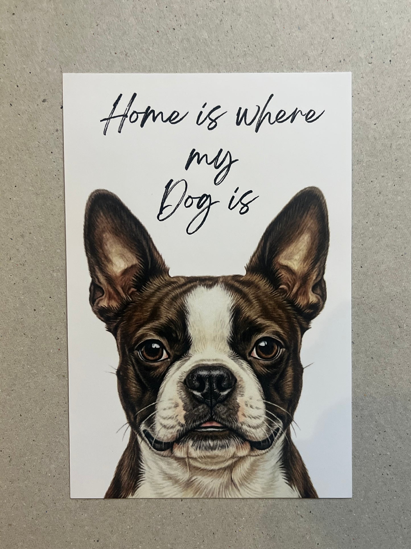 Boston Terrier Art Print