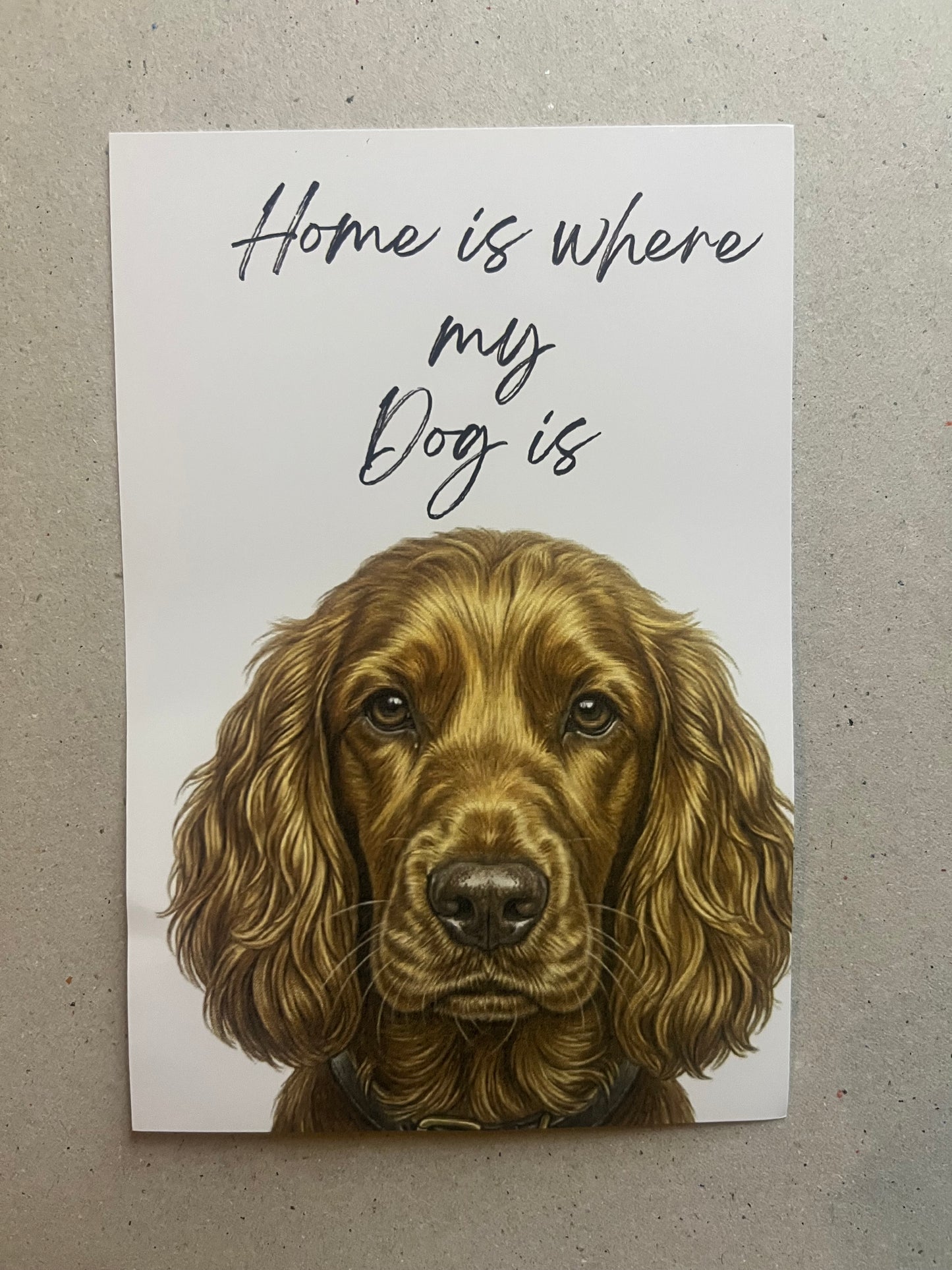 Cocker Spaniel Art Print