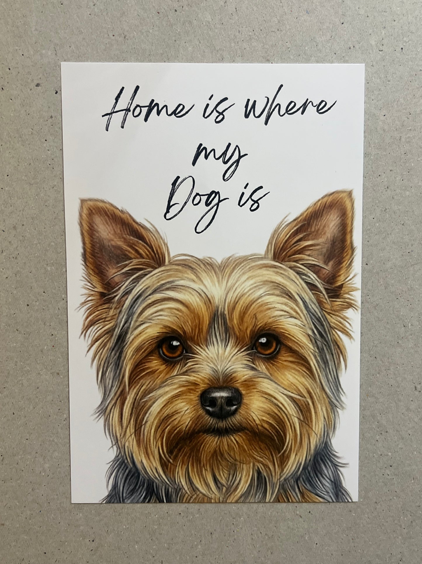 Yorkshire Terrier Art Print