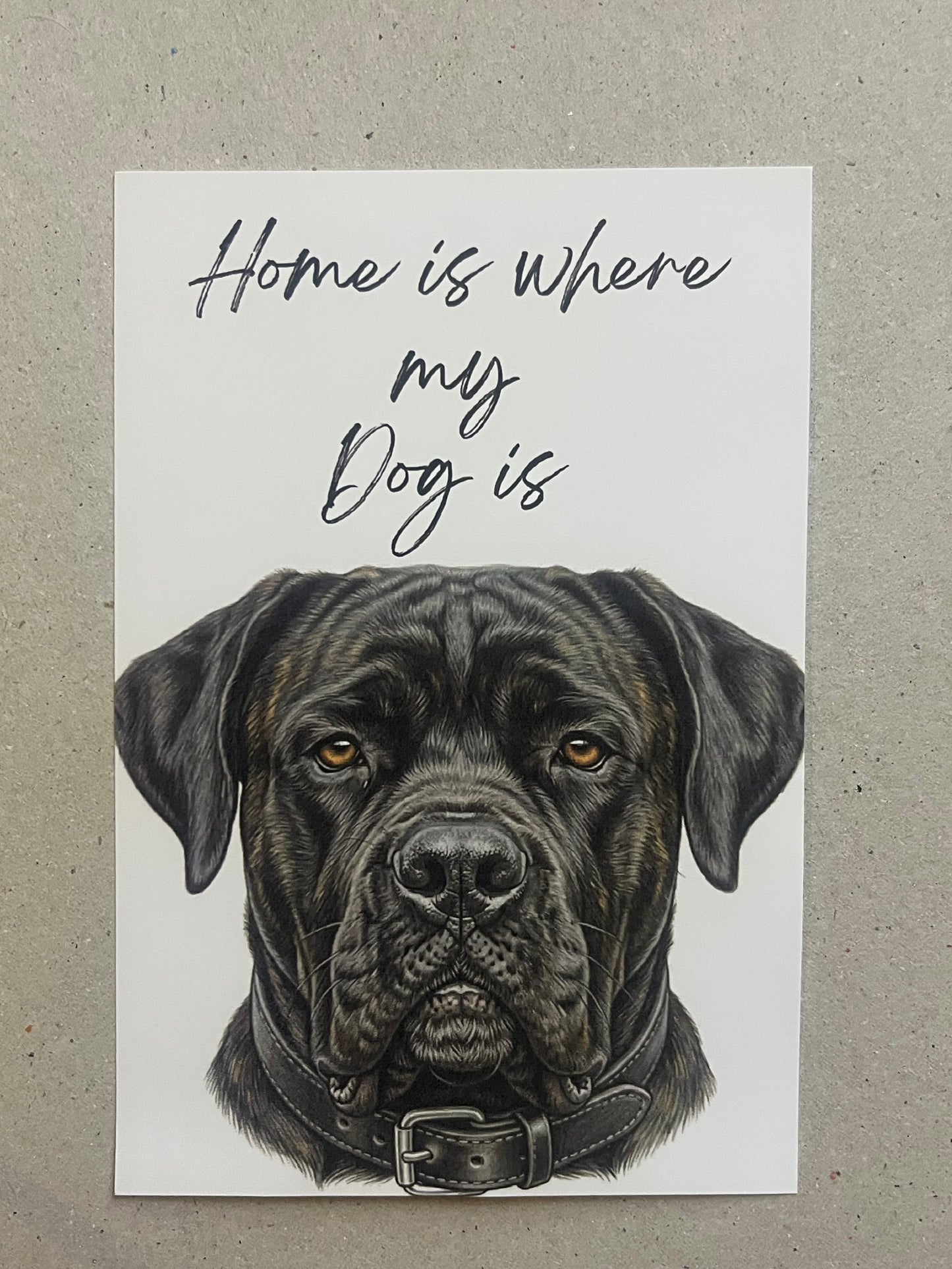 Cane Corso Art Print