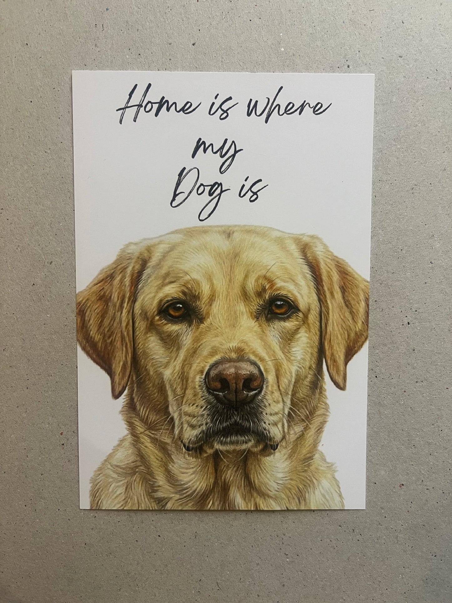 Labrador Art Print