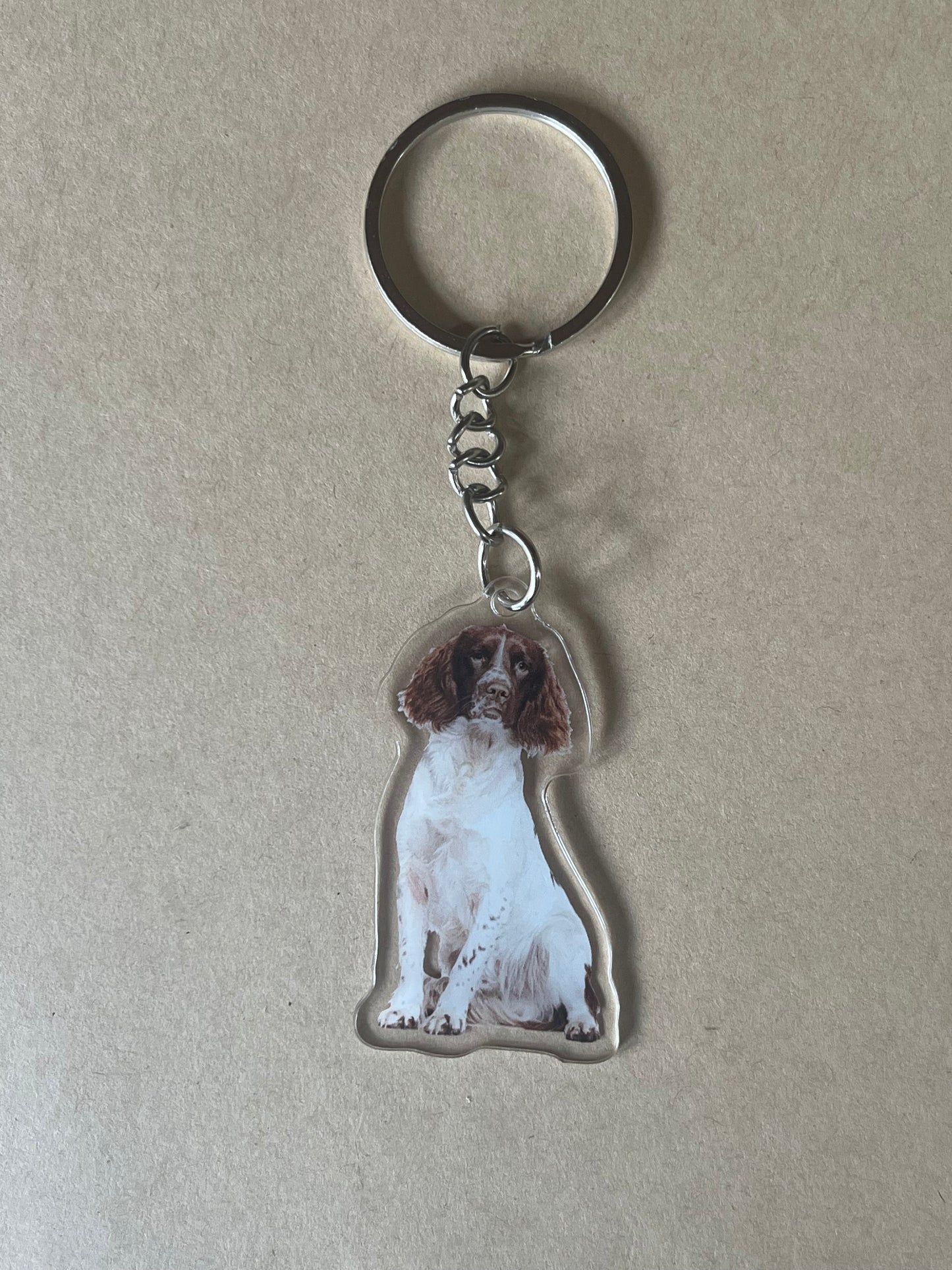 Springer Spaniel Keyring
