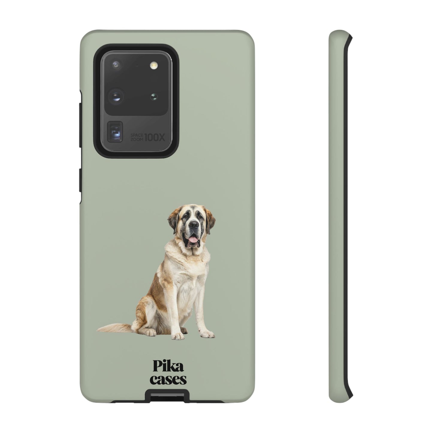 St. Bernard Phone Case