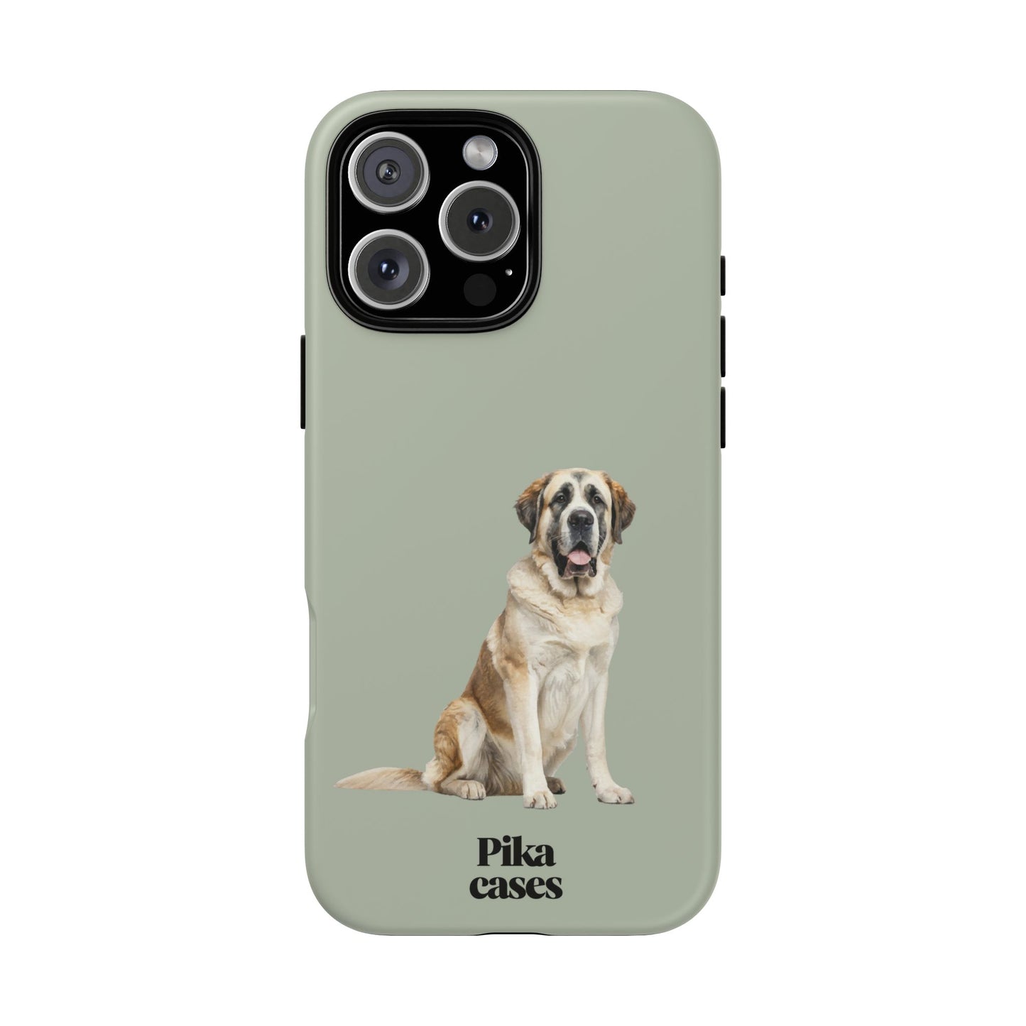 St. Bernard Phone Case