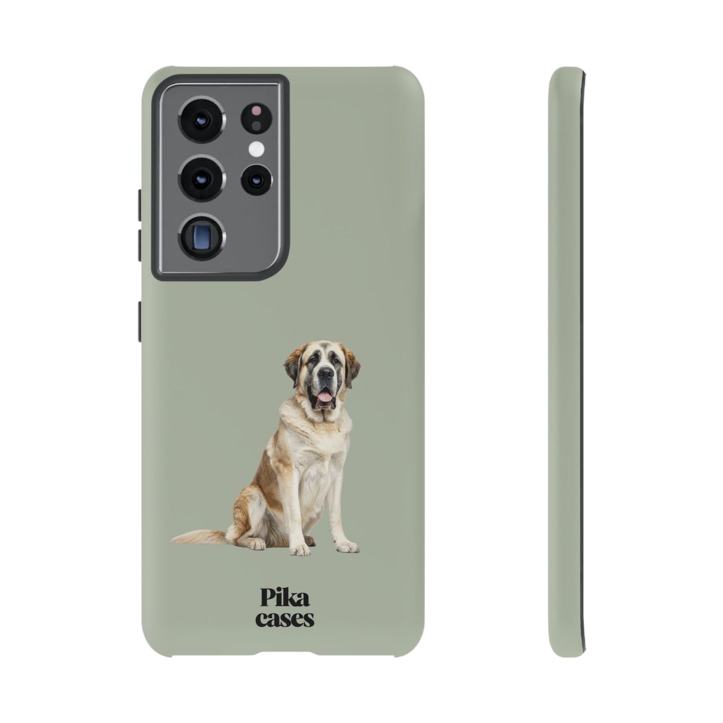 St. Bernard Phone Case