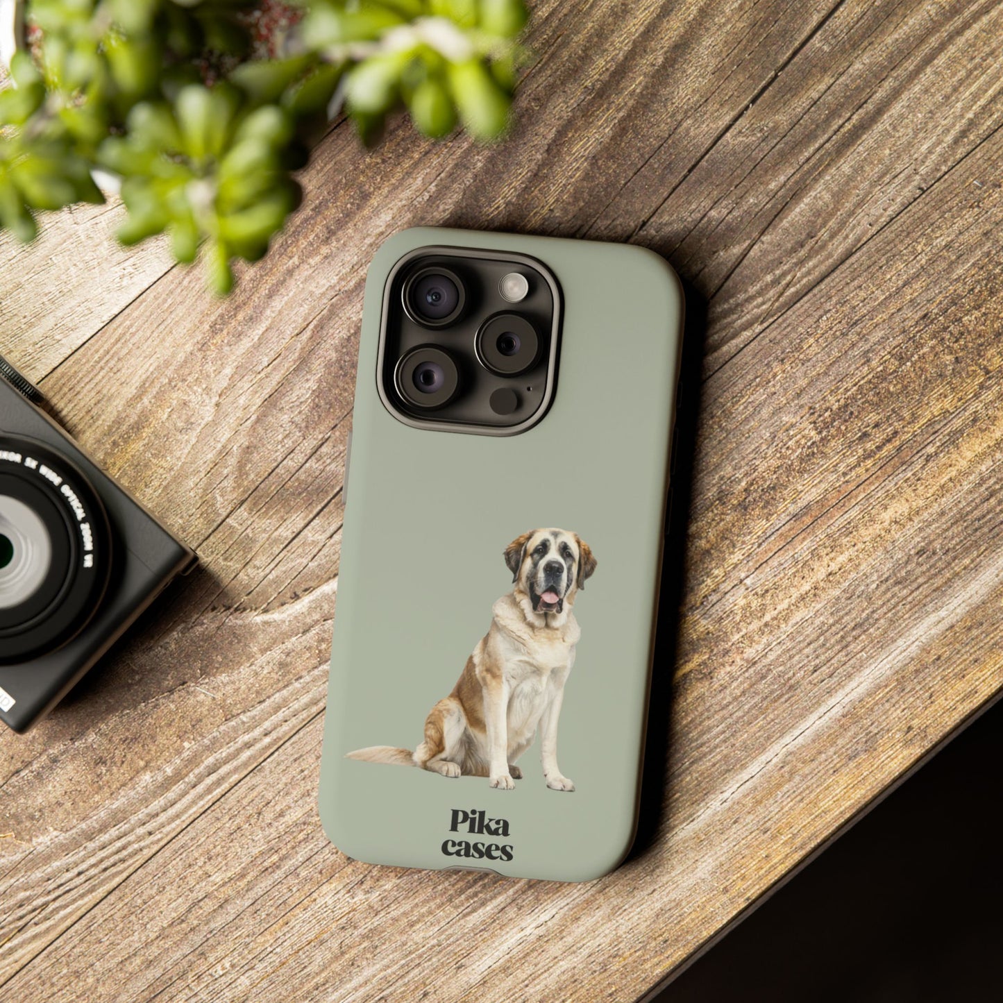 St. Bernard Phone Case