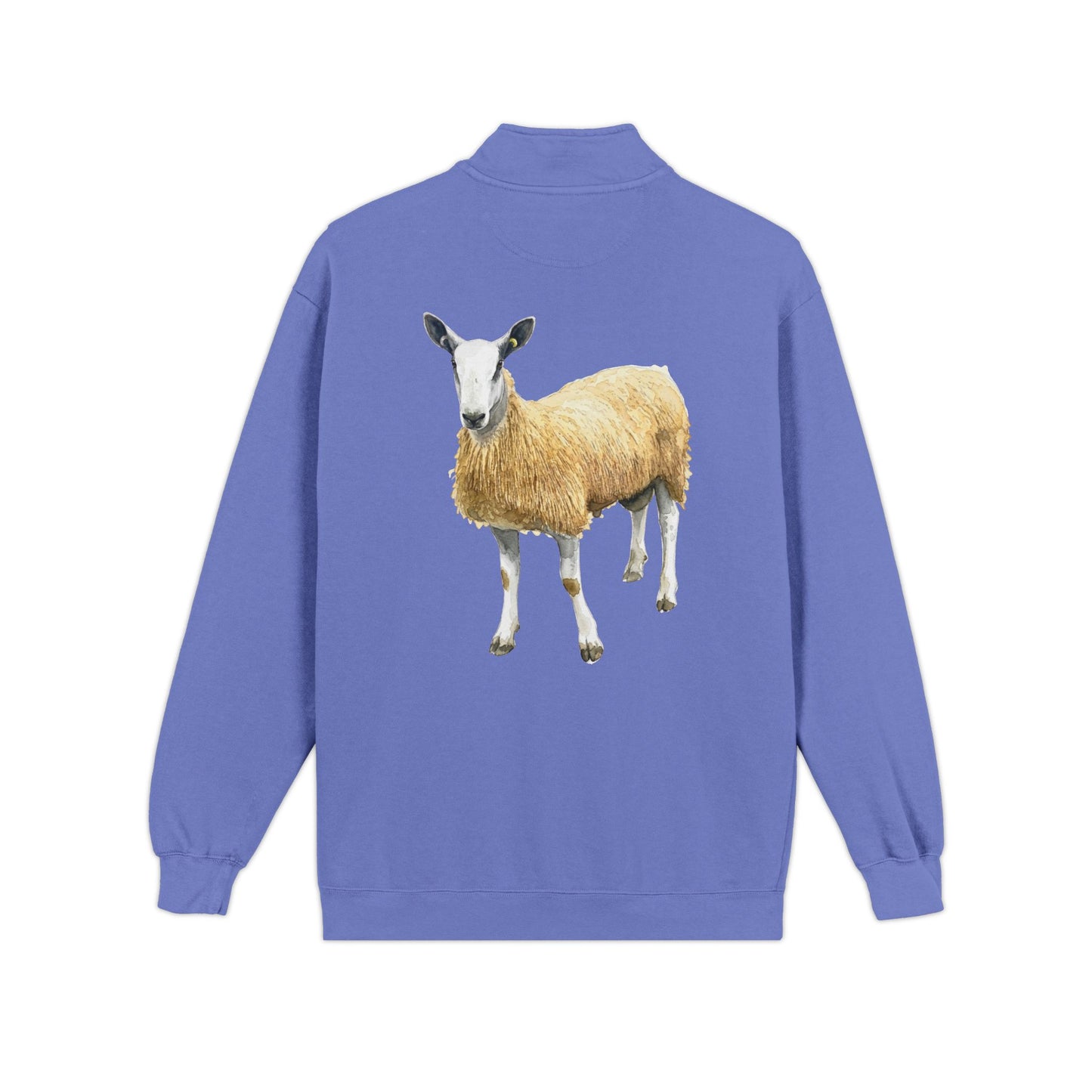 Border Leicester Quarter-Zip Sweatshirt