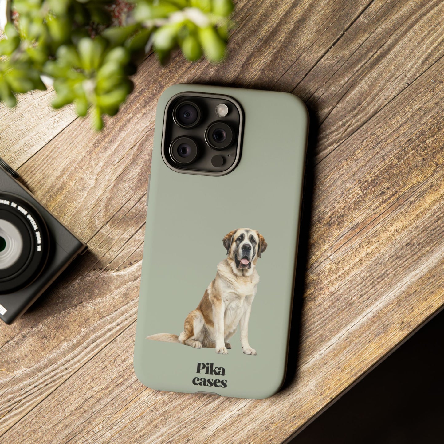 St. Bernard Phone Case
