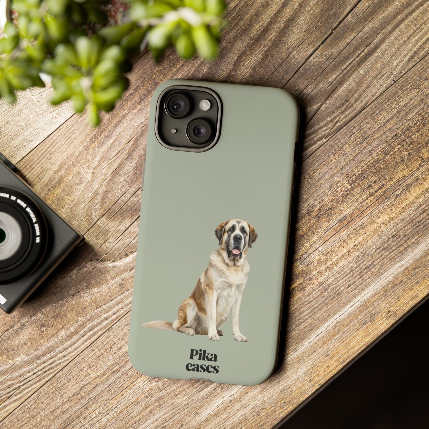 St. Bernard Phone Case