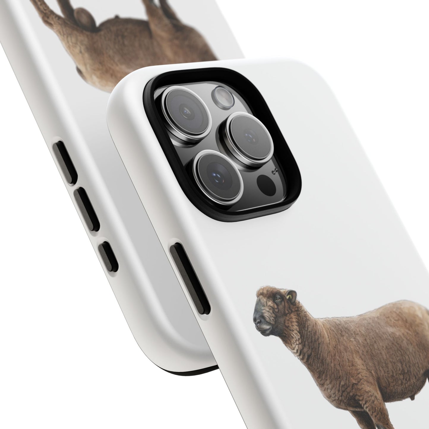 Coloured Ryeland Sheep Phone Case