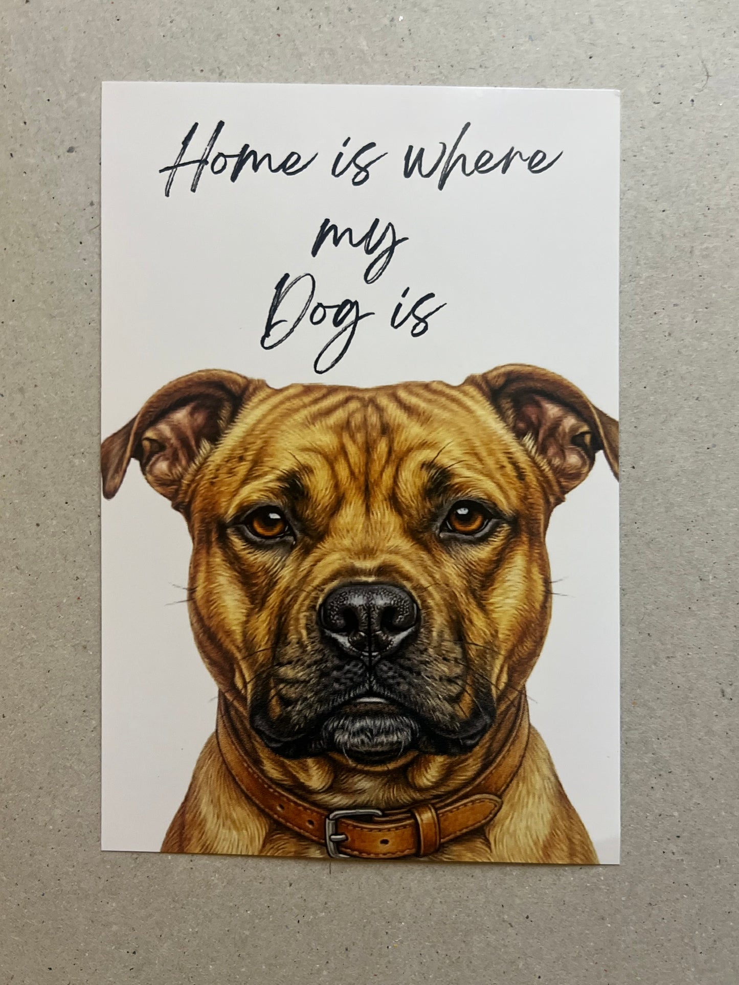 Staffy Art Print