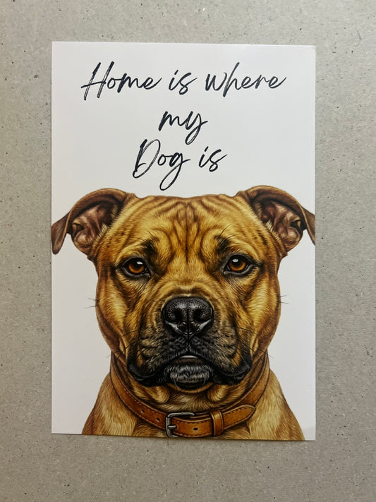 Staffy Art Print