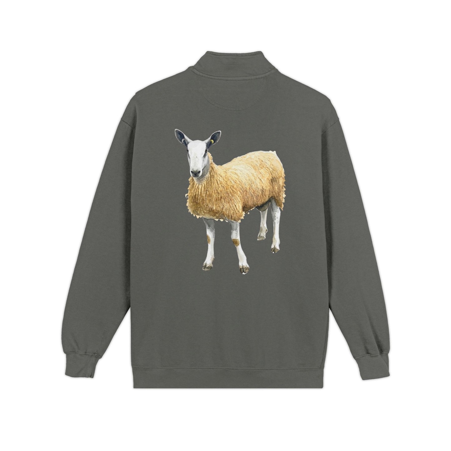 Border Leicester Quarter-Zip Sweatshirt