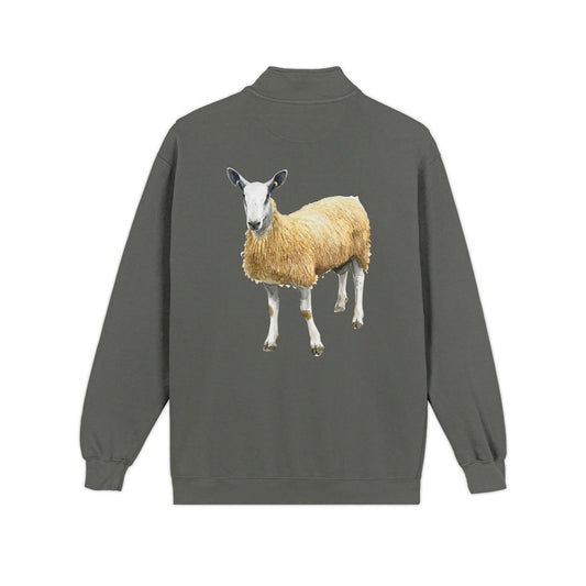 Border Leicester Quarter-Zip Sweatshirt