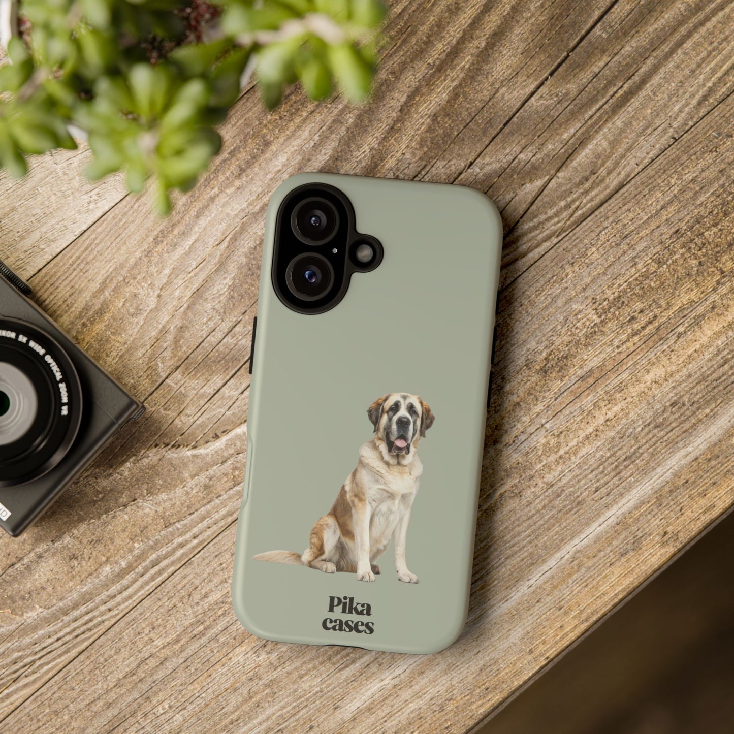 St. Bernard Phone Case