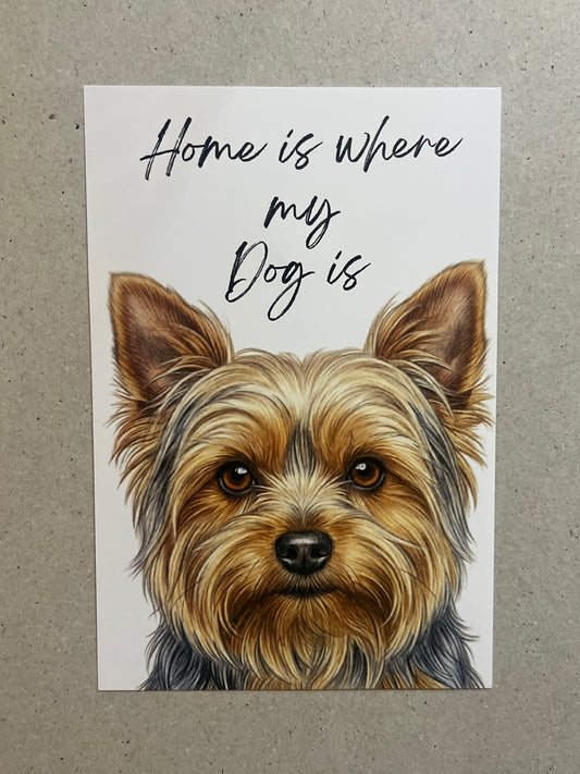 Yorkshire Terrier Art Print