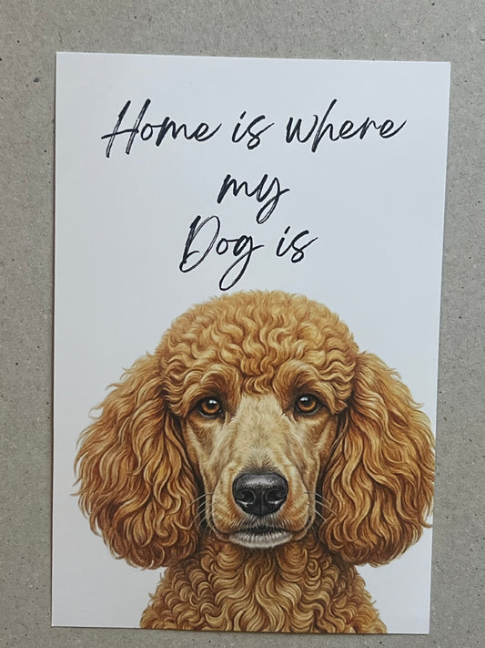 Poodle Art Print