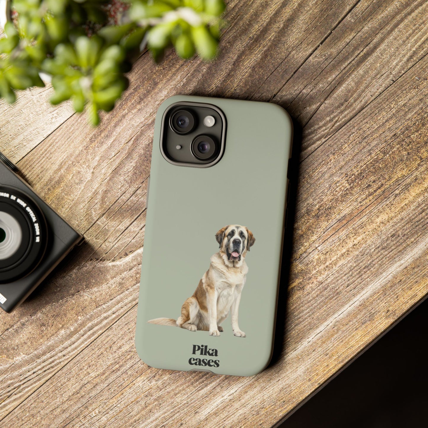 St. Bernard Phone Case
