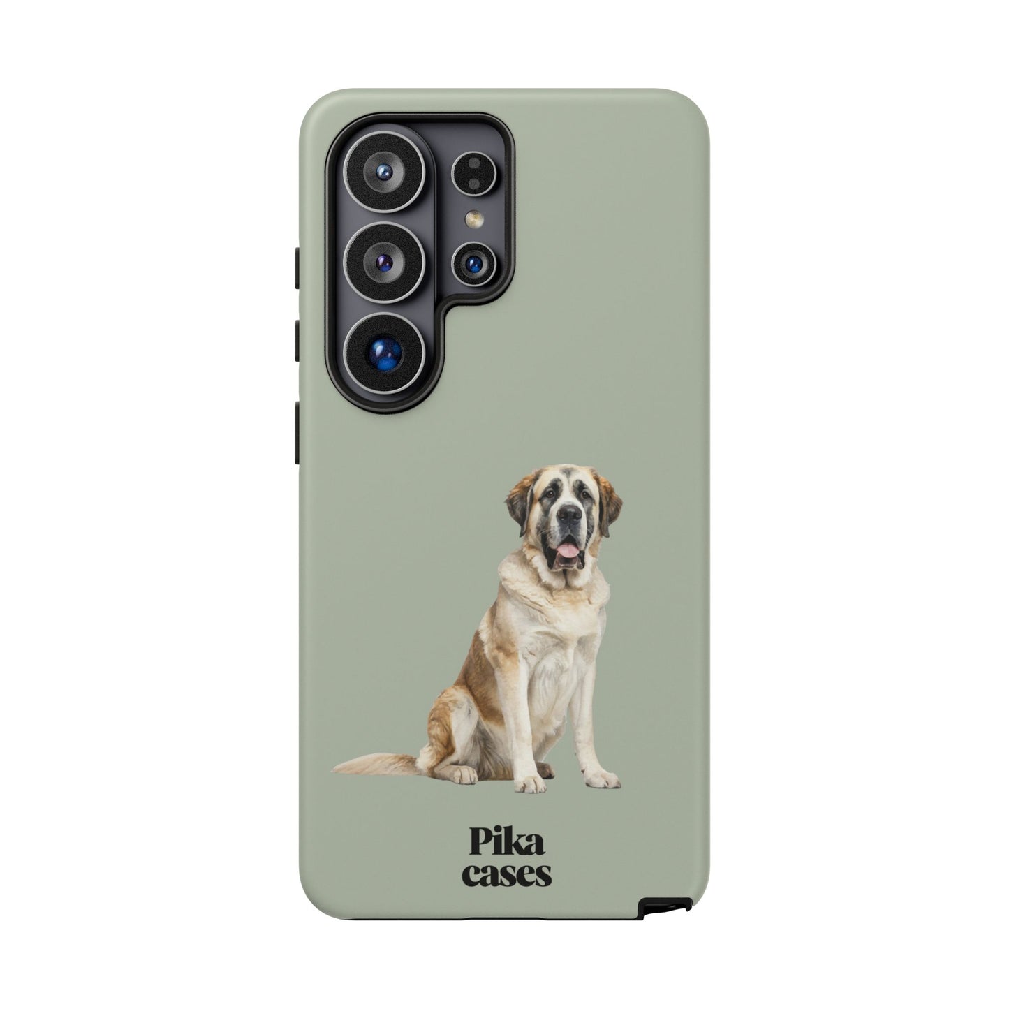 St. Bernard Phone Case