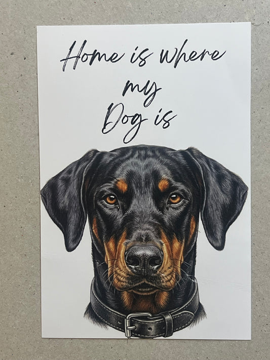 Doberman Art Print