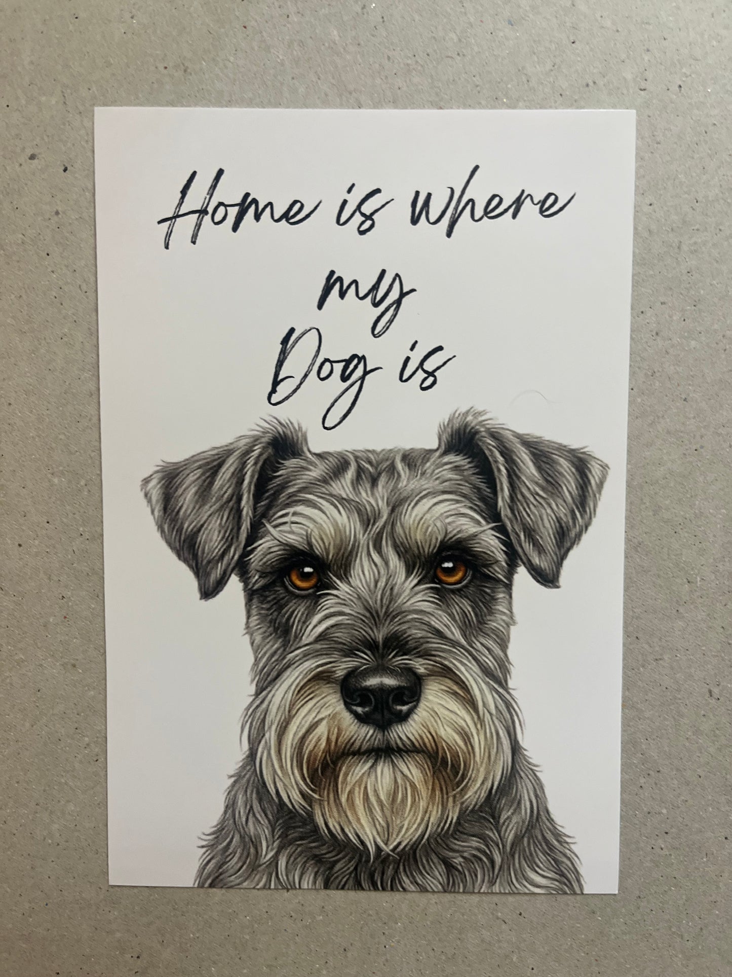 Schnauzer Art Print