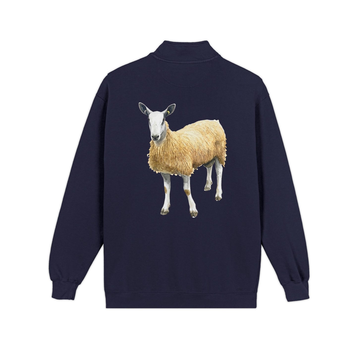Border Leicester Quarter-Zip Sweatshirt