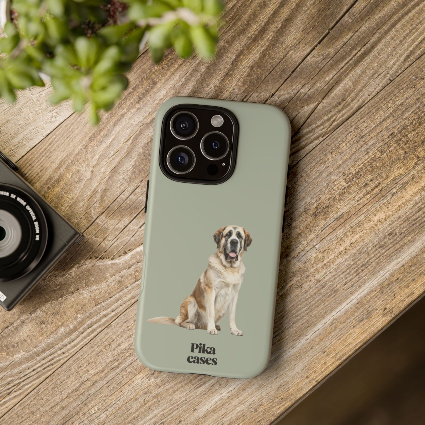 St. Bernard Phone Case