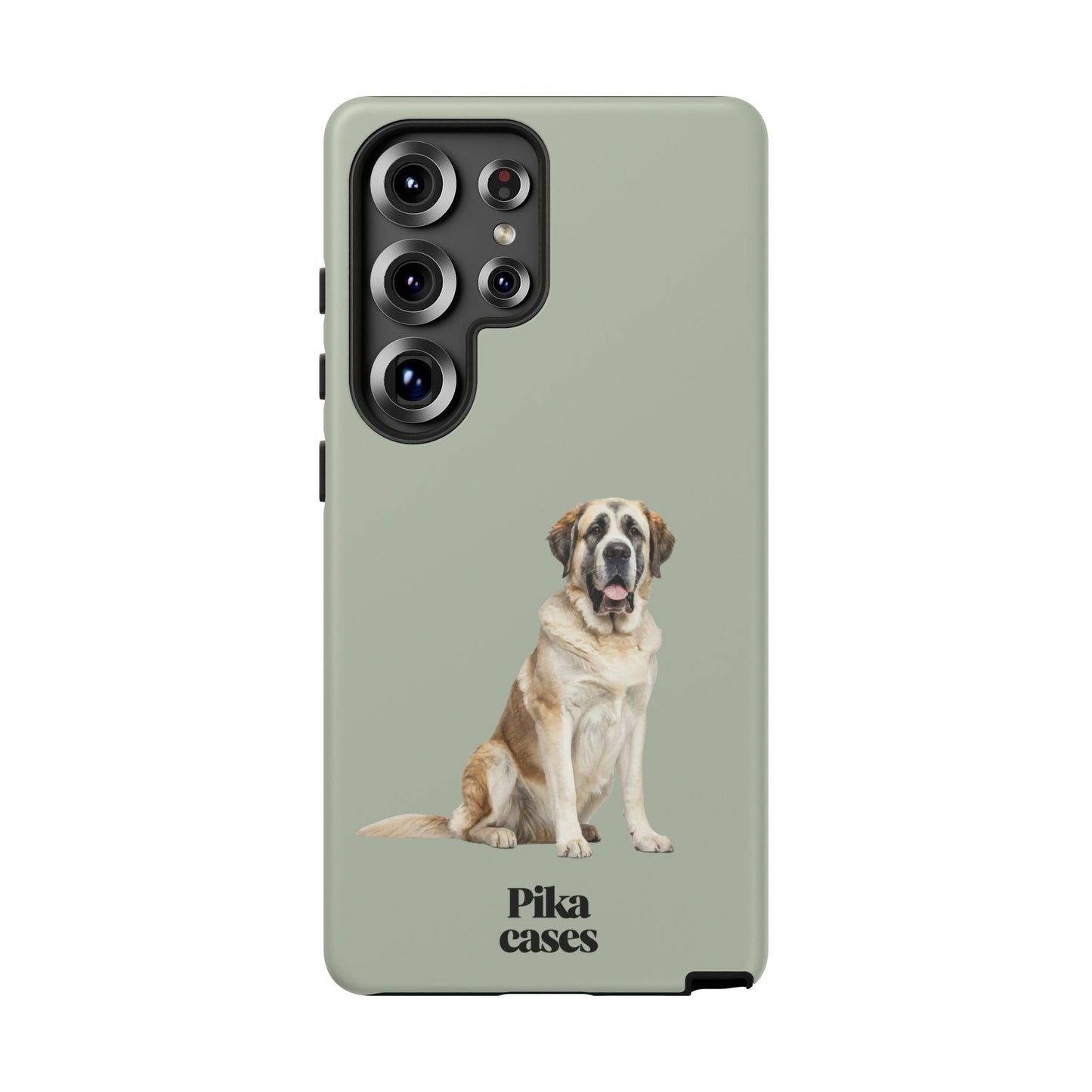 St. Bernard Phone Case