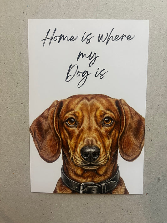 Dachshund Art Print