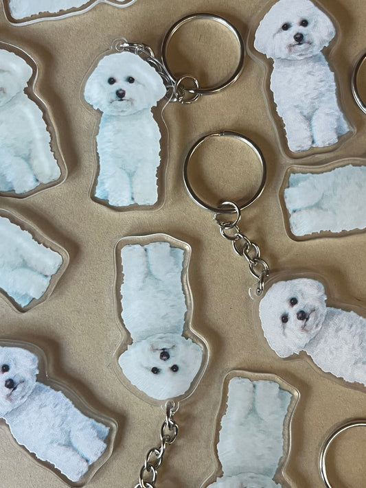 Bichon Frise Keyring